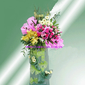 Hoa khai trương LH26 Hoa khai trương LH26