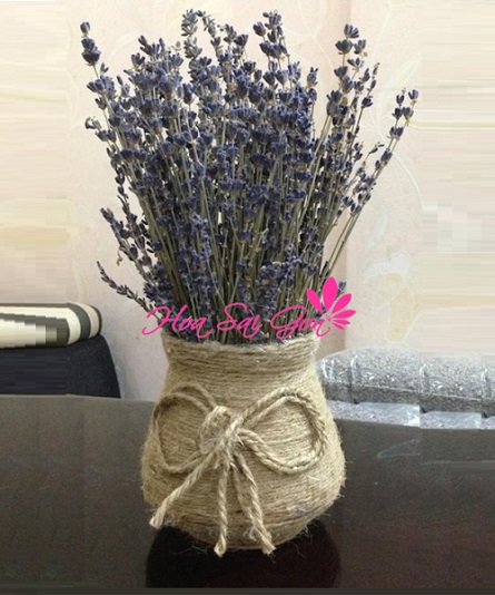 Hoa Lavender khô LD01