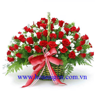 Hoa sinh nhật TY63