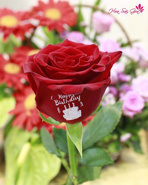 Đóa hoa hồng đỏ tươi thắm được in dòng chữ “Happy Birthday” 