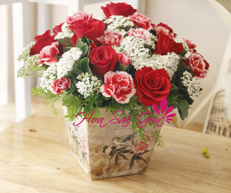 Chậu hoa đáng yêu dành tặng bạn gái