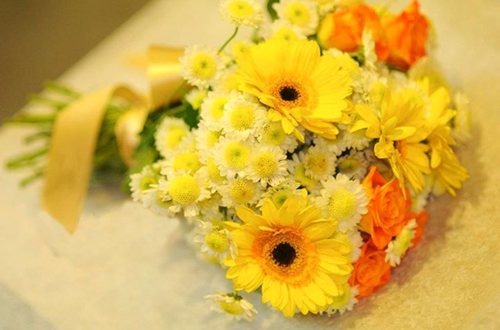 Hoa cúc vàng tặng cho mẹ biểu hiện lòng kính yêu quý mến