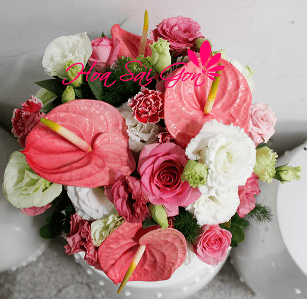 Hoa mừng quốc tế phụ nữ Hoa mừng quốc tế phụ nữ