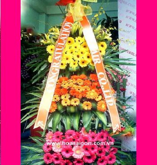 Hoa khai trương nhiều màu sắc Hoa khai trương nhiều màu sắc