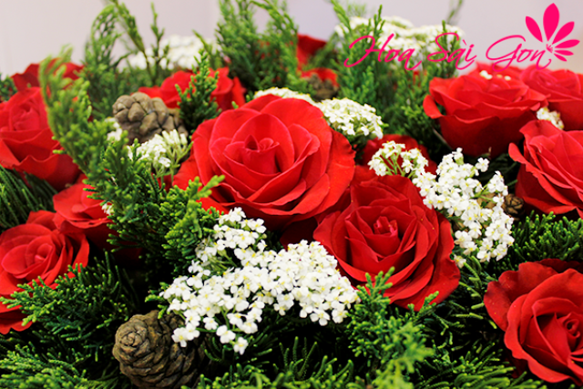 Giỏ hoa Merry Christmas được kết hợp bởi những đóa hoa hồng đỏ tươi thắm
