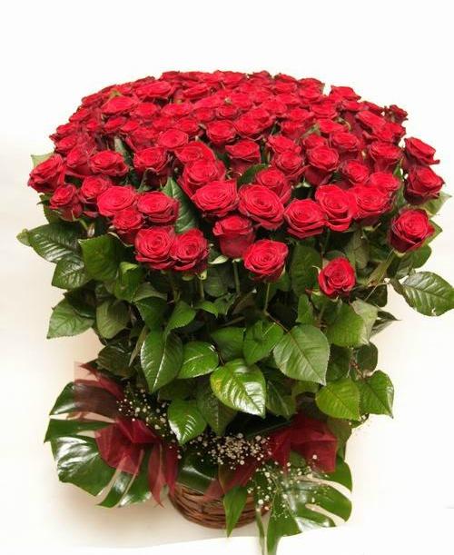 Hãy tặng cho cô bạn tri kỷ thân thiết một bó còn nguyên vẹn lá, chưa qua cắt tỉa nhé Hãy tặng cho cô bạn tri kỷ thân thiết một bó còn nguyên vẹn lá, chưa qua cắt tỉa nhé