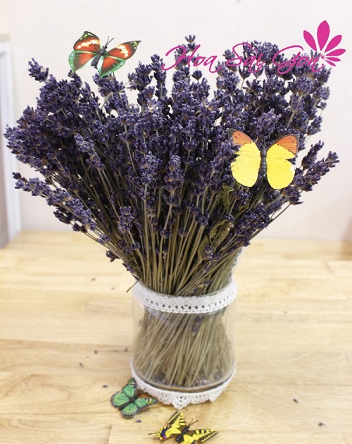 hoa khô lavender ld10