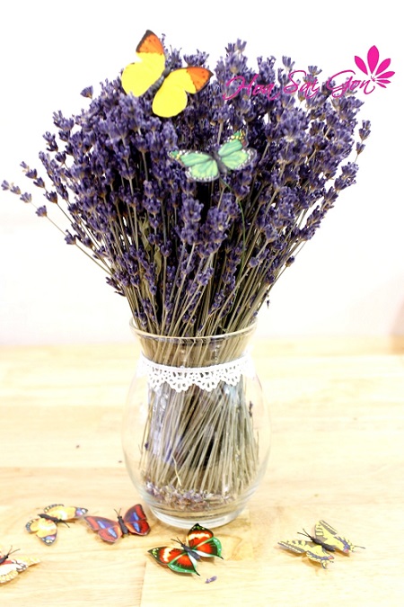hoa kho lavender LD11