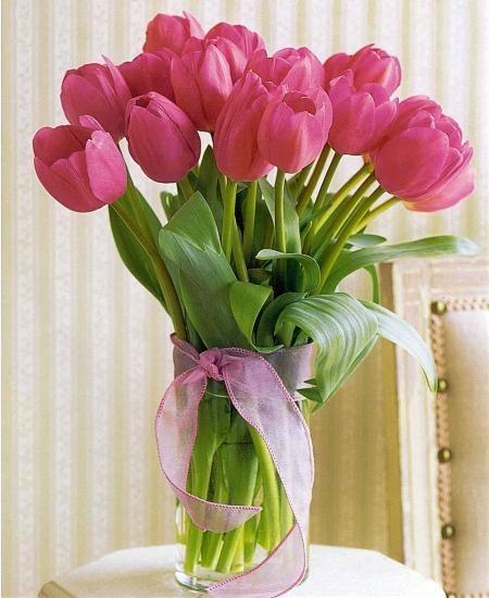 Hoa Tulip mang ý nghĩa rằng tình yêu của chúng ta đẹp và lãng mạn tựa như câu chuyện cổ tích