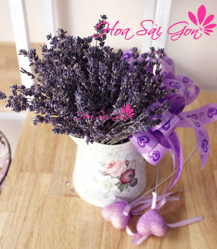 Hoa lavender LD13