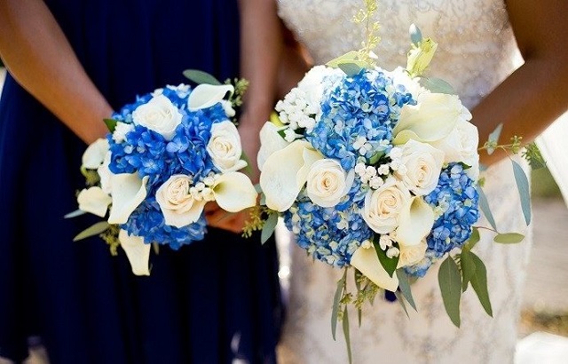 Hoa cẩm tú cầu với màu tím nhẹ nồng nàn mang tới một vẻ đẹp tự nhiên Hoa cẩm tú cầu với màu tím nhẹ nồng nàn mang tới một vẻ đẹp tự nhiên