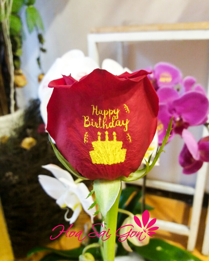 Những mẫu hoa sinh nhật dễ thương và ý nghĩa tặng bạn gái