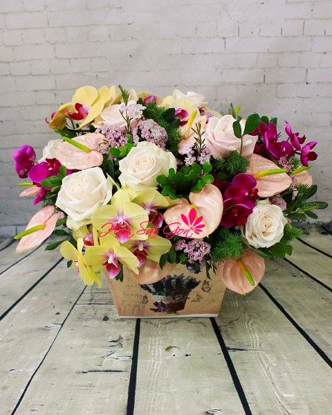 Mẫu hoa sinh nhật làm say đắm lòng người Mẫu hoa sinh nhật làm say đắm lòng người