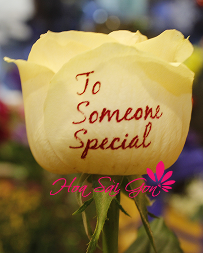 “To Someone Special - Gửi đến người đặc biệt” sẽ là quà tặng độc đáo và vô cùng ý nghĩa