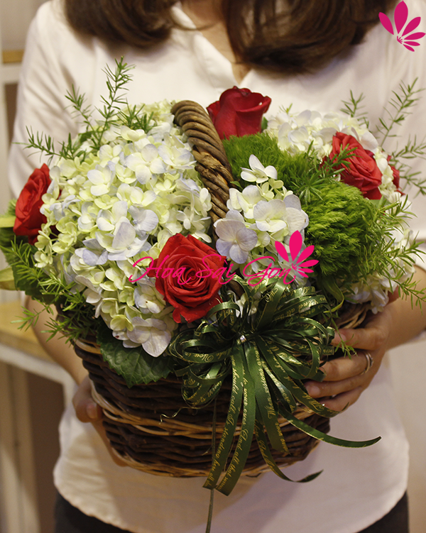 Giỏ hoa cẩm tú cầu kết hợp sang trọng tri ân thầy cô Giỏ hoa cẩm tú cầu kết hợp sang trọng tri ân thầy cô