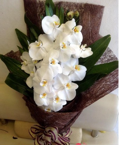 Bó hoa lan đẹp Bó hoa lan đẹp