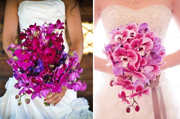 Lan hồ điệp là những cánh bướm báo hiệu mùa xuân – mùa xây tổ của những đôi uyên ương Lan hồ điệp là những cánh bướm báo hiệu mùa xuân – mùa xây tổ của những đôi uyên ương