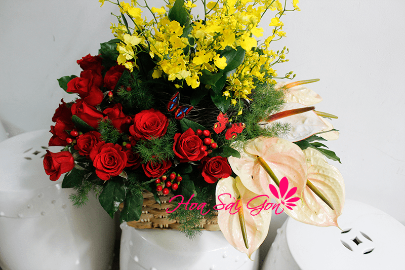 Hoa sinh nhật theo đúng sở thích chắc chắn sẽ làm vợ bạn hài lòng và hạnh phúc Hoa sinh nhật theo đúng sở thích chắc chắn sẽ làm vợ bạn hài lòng và hạnh phúc