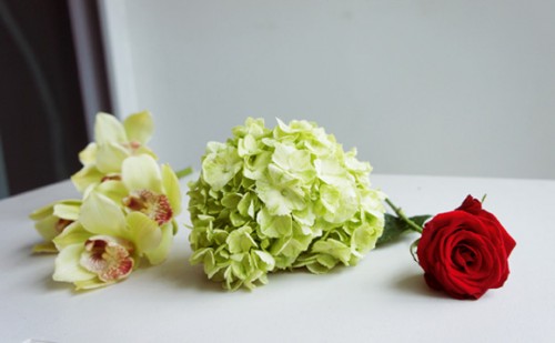 Và bất cứ nơi nào trong nhà, bạn hãy đặt một vài bông hoa tươi nhé Và bất cứ nơi nào trong nhà, bạn hãy đặt một vài bông hoa tươi nhé