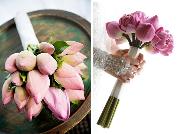 Đây là loài hoa được bình chọn trở thành quốc hoa của nước ta Đây là loài hoa được bình chọn trở thành quốc hoa của nước ta