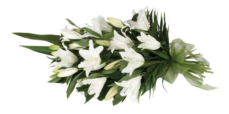 Hoa lily trắng thể hiện sự thông cảm, và truyền tải sự uy nghi và thanh khiết