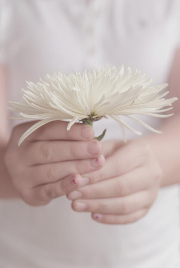 Hoa cúc trắng sẽ bày tỏ cho sự tái sinh, cho một sự sống mới