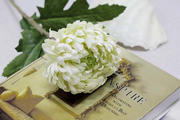 Hoa cúc trắng chính là lời cầu nguyện chân thành gởi đến người đã khuất
