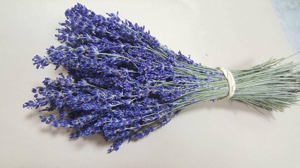 Bạn có thể chọn cho mình một mẫu hoa lavender khô để trang trí và làm quà tặng cực kỳ ý nghĩa