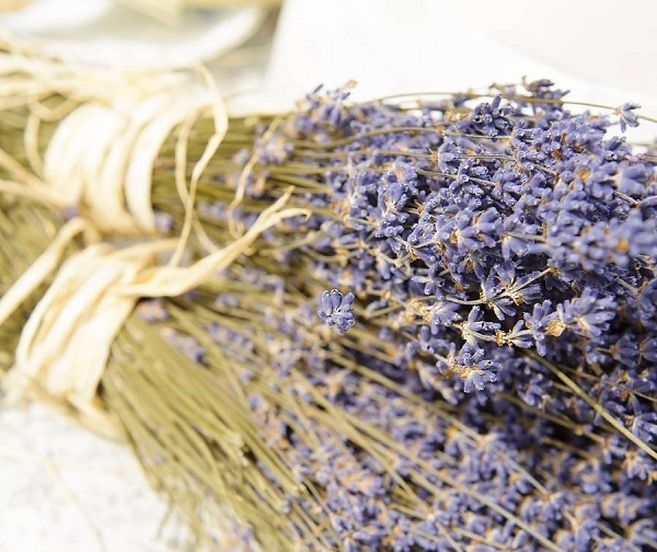 Tại sao nên mua hoa lavender khô làm quà tặng sinh nhật cho bạn gái