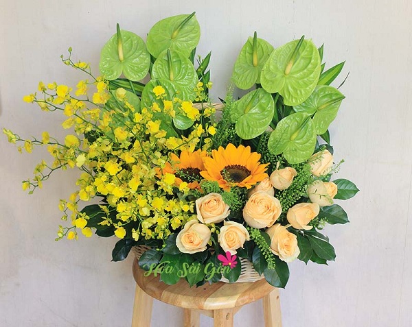 Hoa Sài Gòn - Địa chỉ cung cấp hoa đẹp Sài Gòn làm say lòng mọi ánh nhìn 