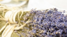 Làm thế nào để bảo quản lavender khô luôn thơm mới