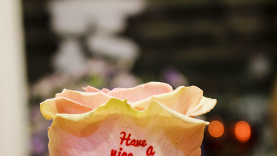 Mẹo giữ hoa tươi lâu nhất tại các cửa hàng hoa