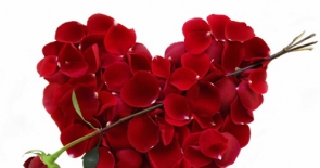Tặng hoa hồng đỏ ngày sinh nhật có ý nghĩa gì?