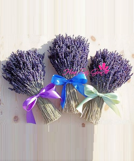 hoa-kho-lavender-ld02.jpg